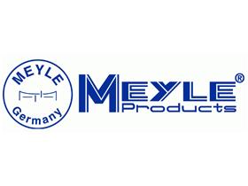 Meyle MSA0282 - AMORTIGUADOR